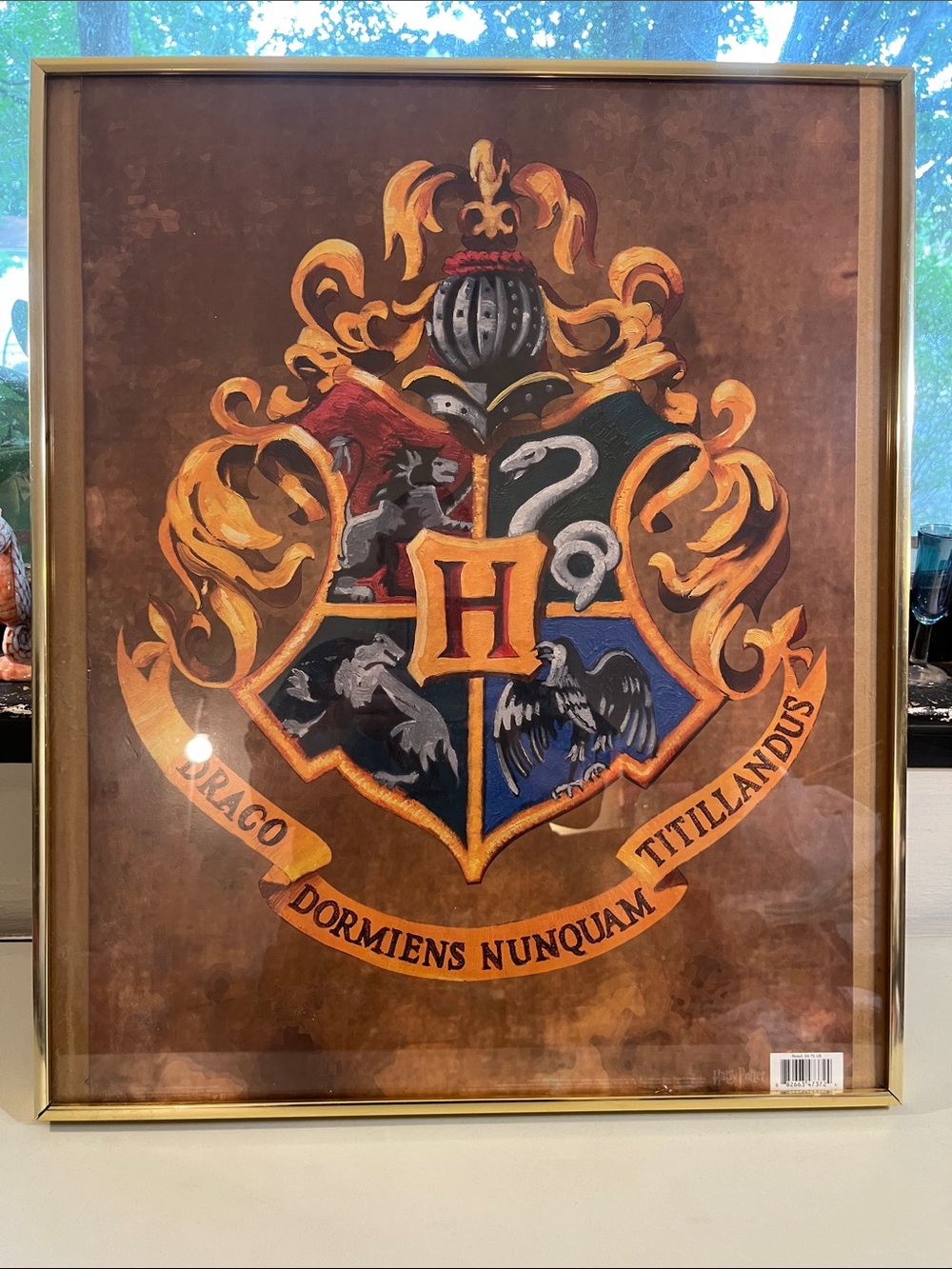 Warner Bros. Hogwarts Crest Framed Wall Art - Brown & Gold